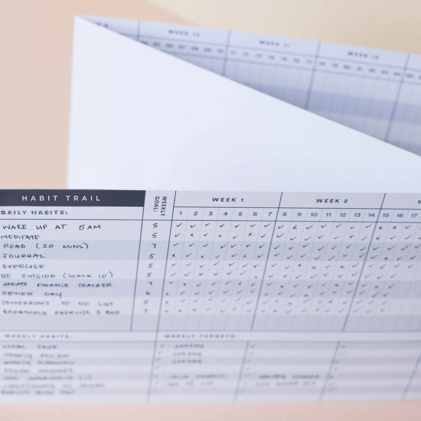 Habit Trail | 6-Month Habit Tracker System - Daily & Weekly Goal Cards Journal